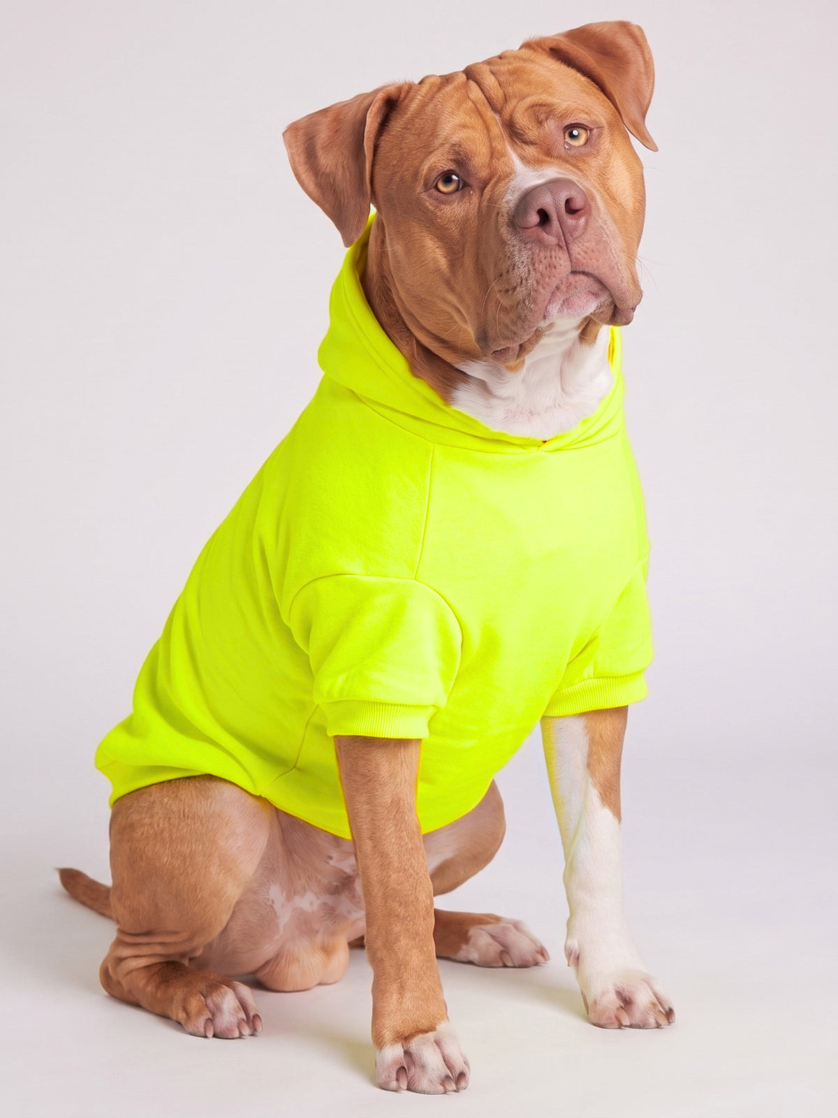 Neon Minimalist Paw Hoodie