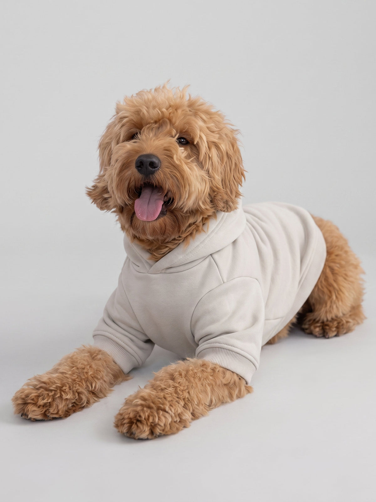 Minimalist Paw Hoodie