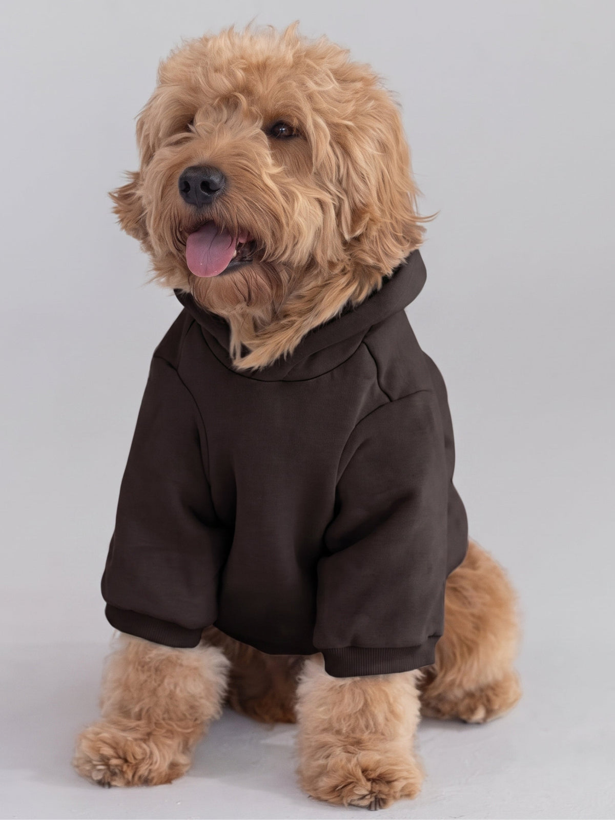 Tranquil Paw Hoodie