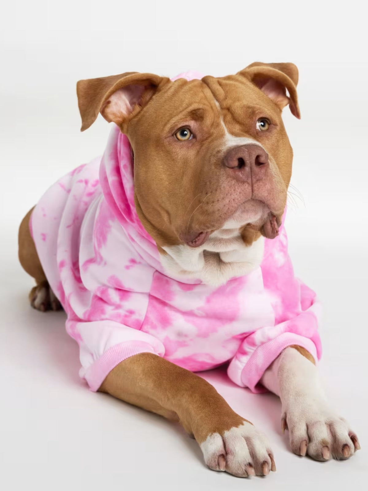 Minimalist Paw Hoodie