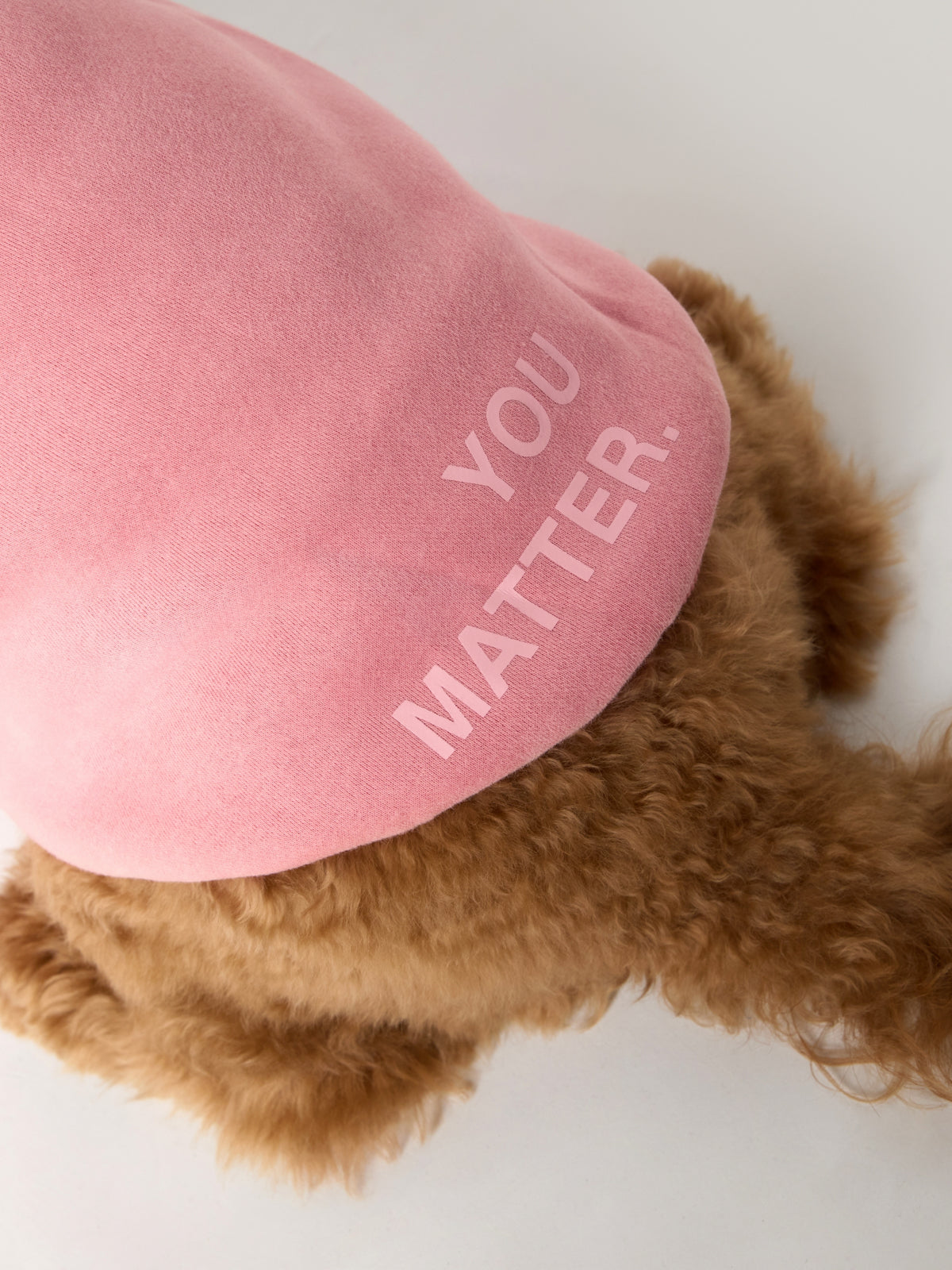 You Matter Paw Hoodie