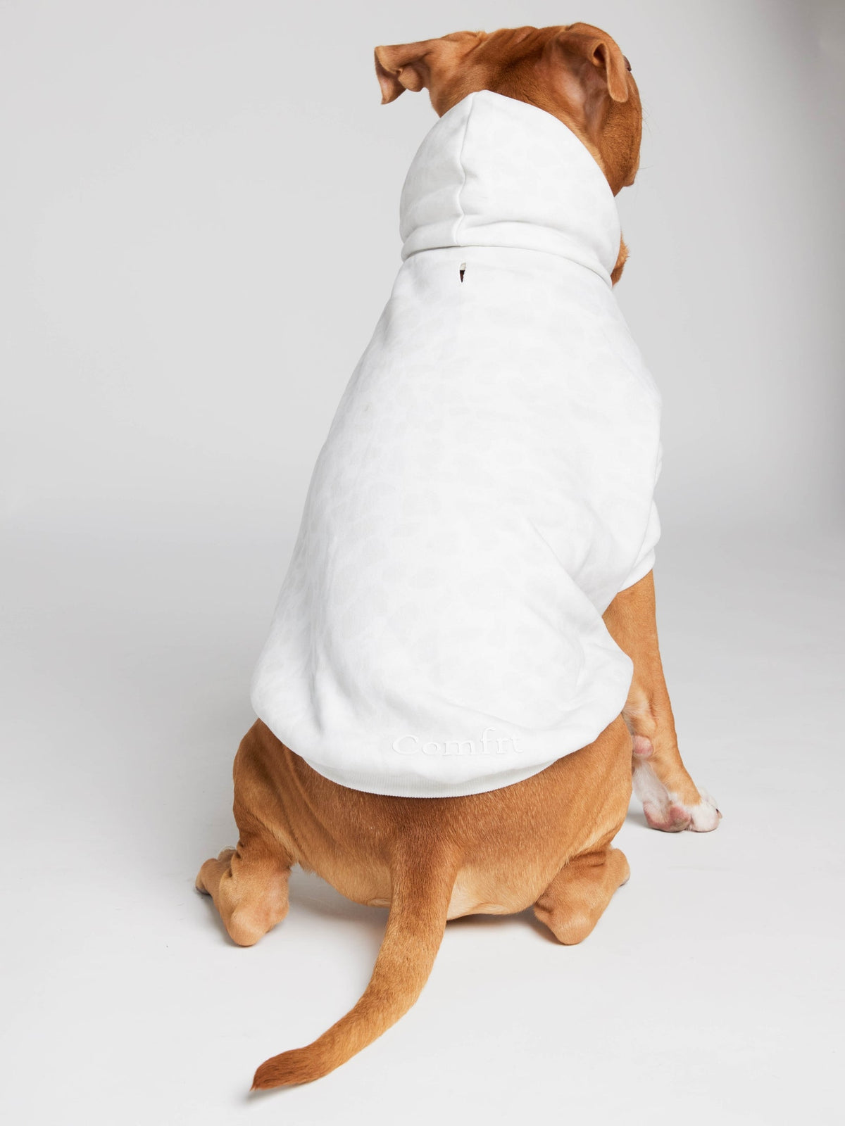Minimalist Paw Hoodie