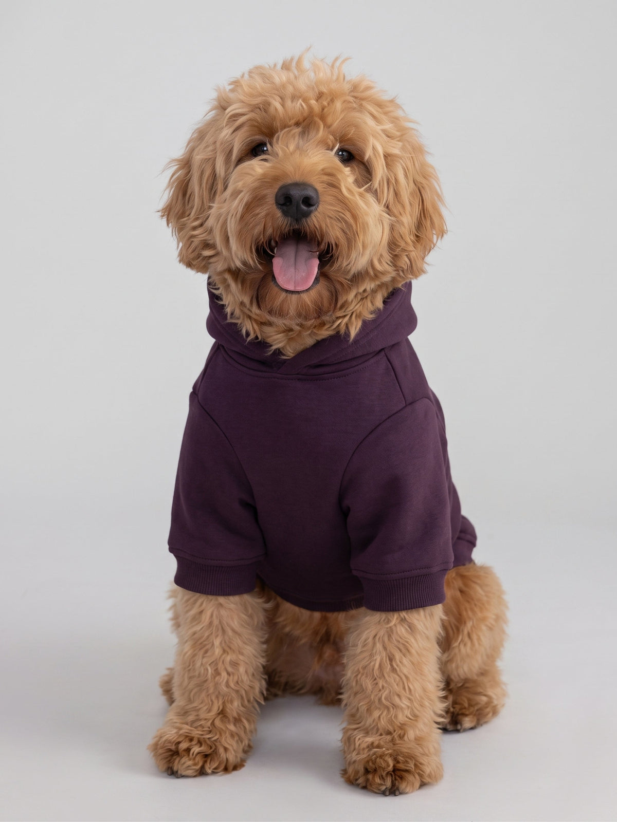 Minimalist Paw Hoodie