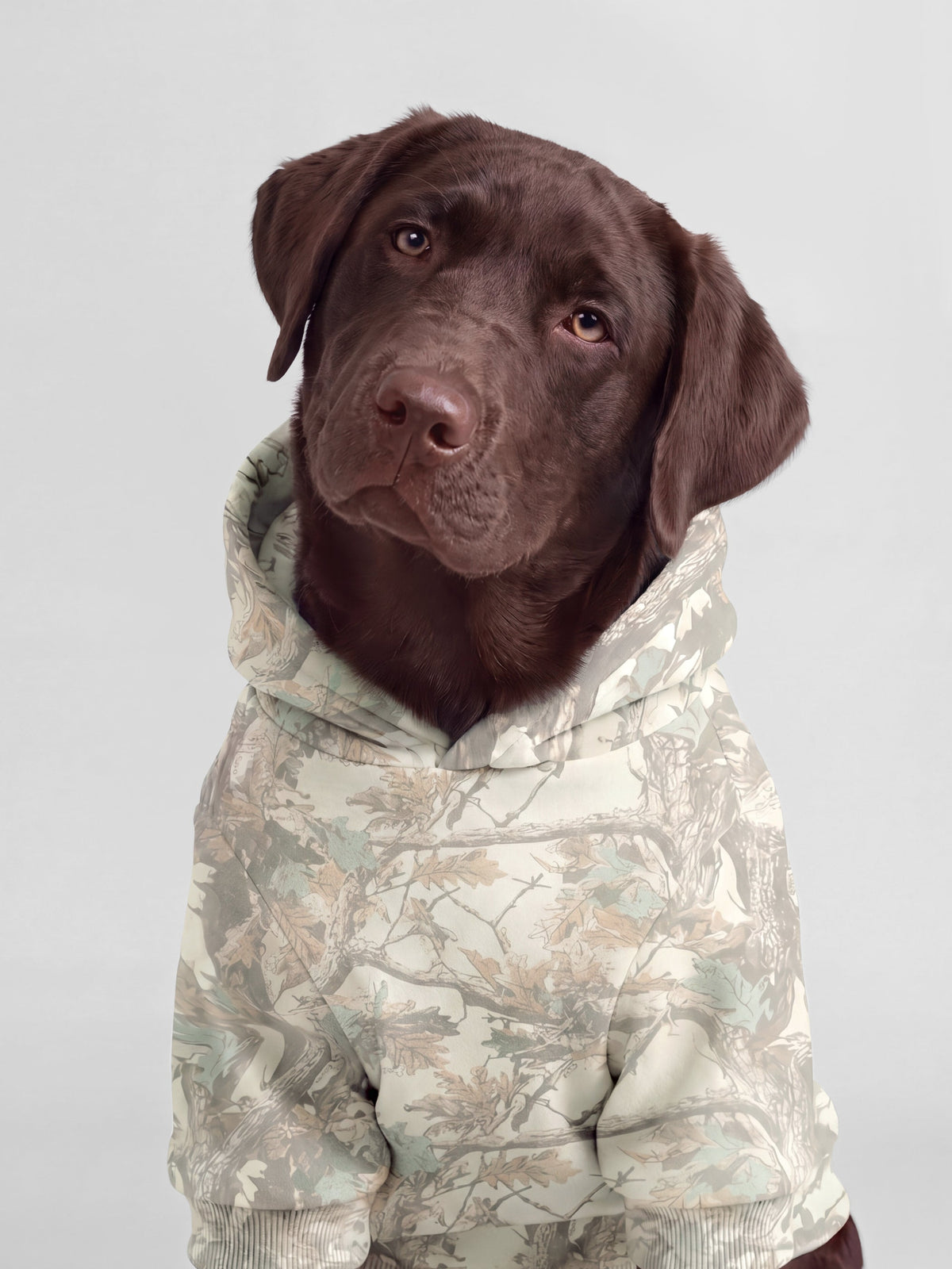 Camo Paw Hoodie