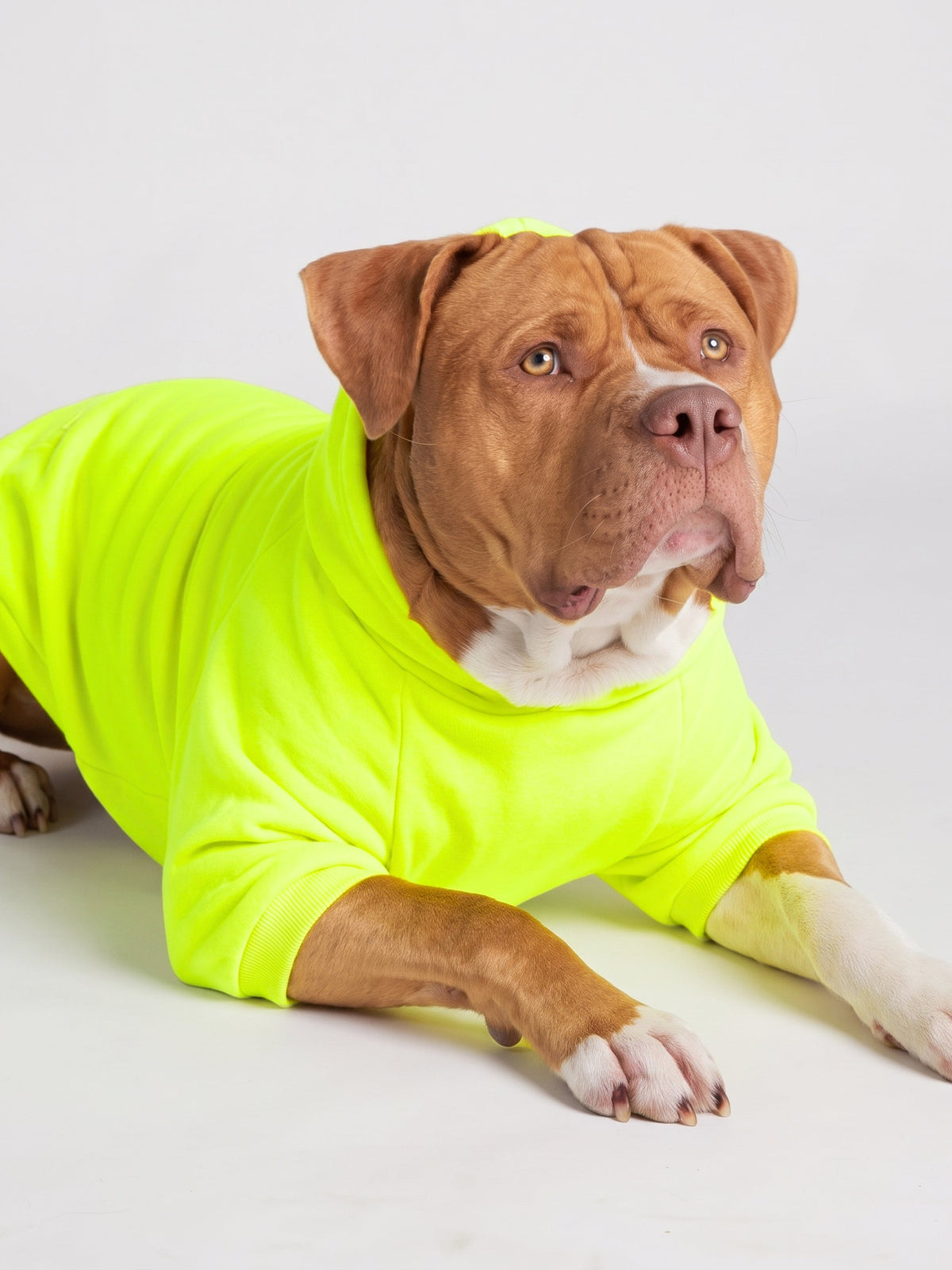 Neon Minimalist Paw Hoodie