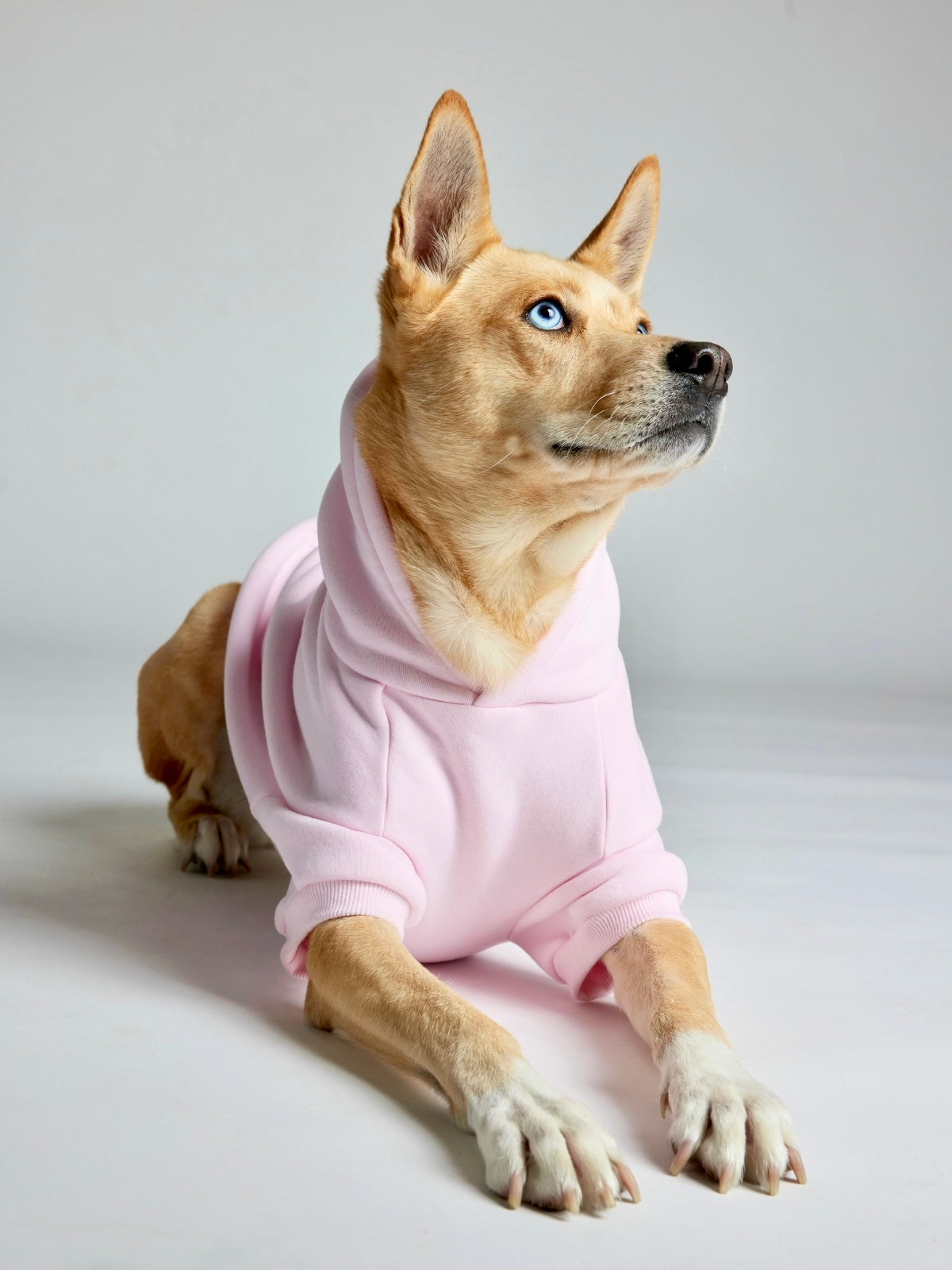 Minimalist Paw Hoodie