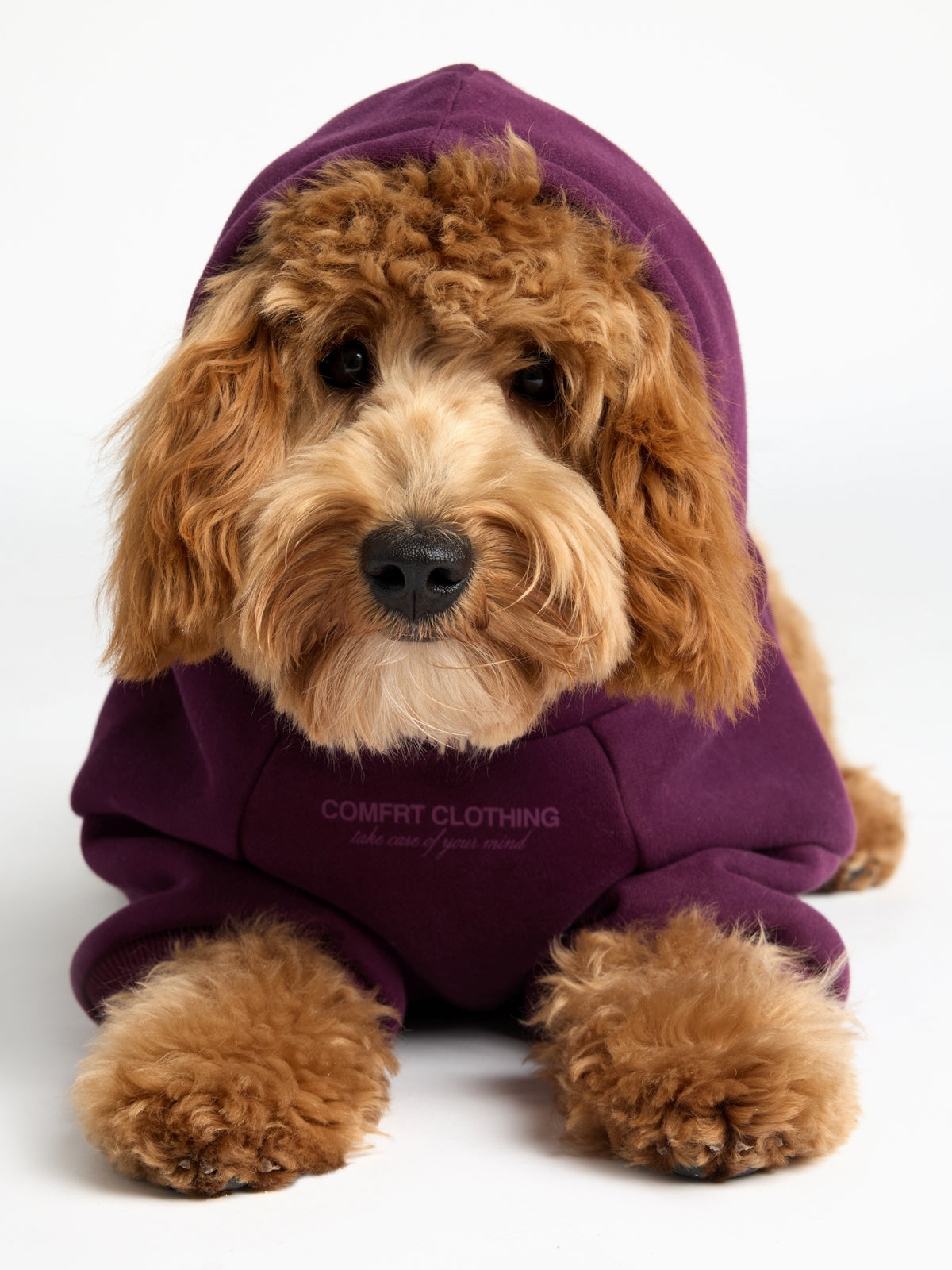 You Matter Paw Hoodie
