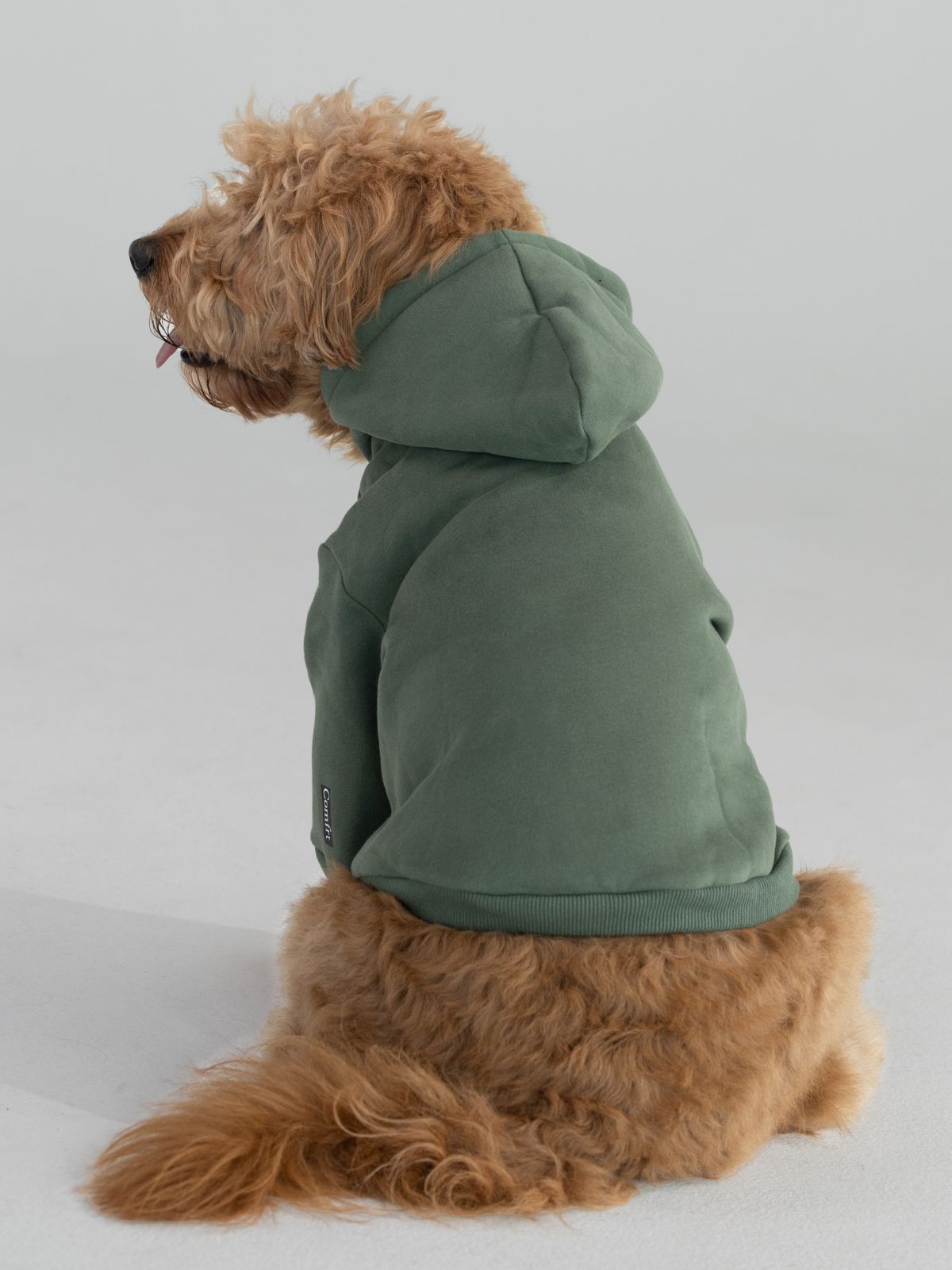 Standard Paw Hoodie