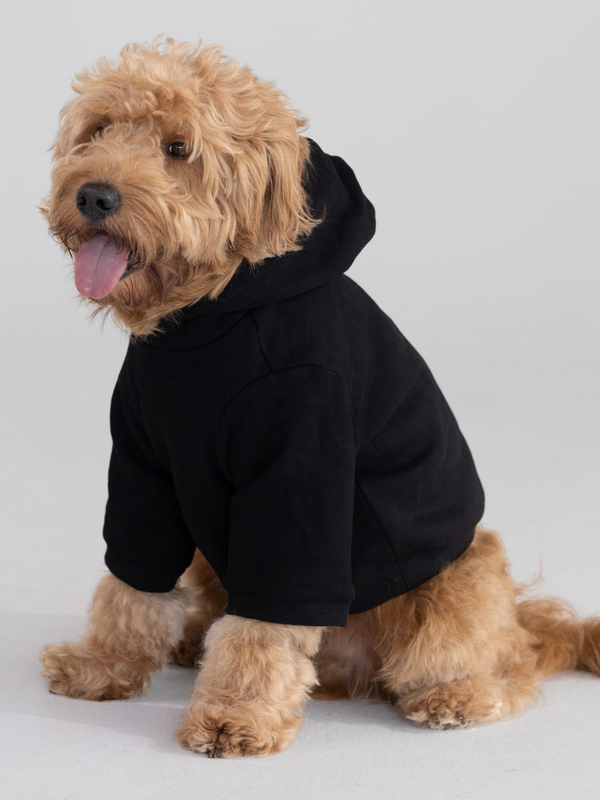 Tranquil Paw Hoodie
