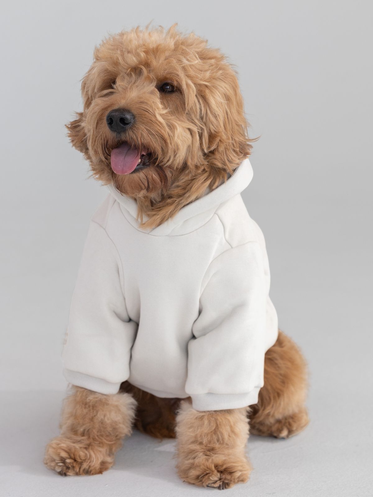 Tranquil Paw Hoodie