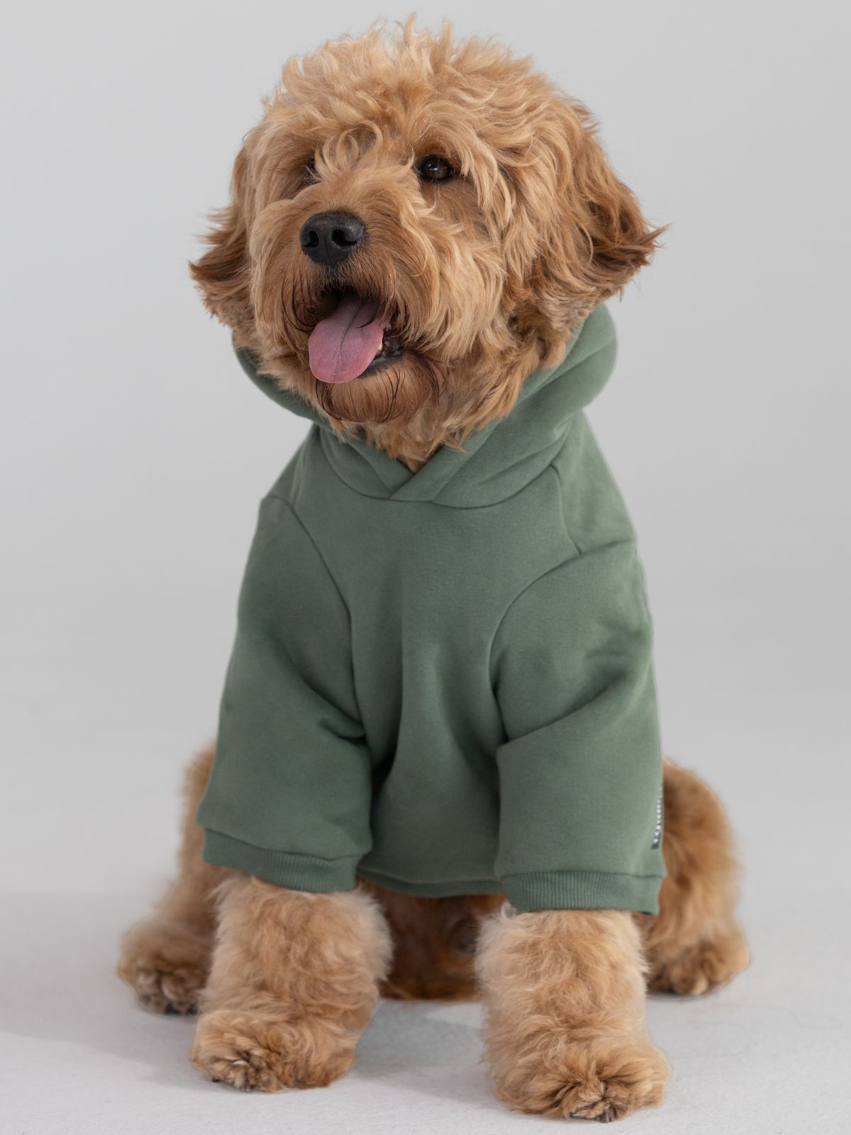 Standard Paw Hoodie