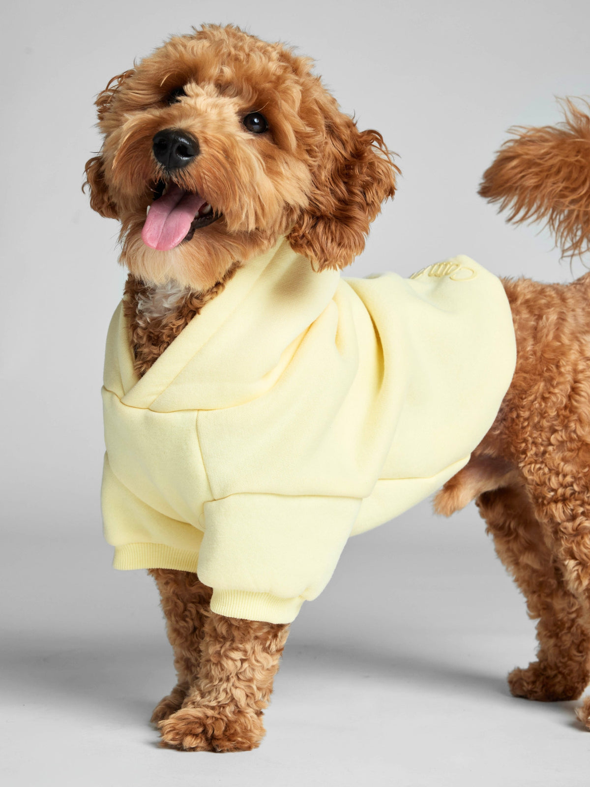 Minimalist Paw Hoodie