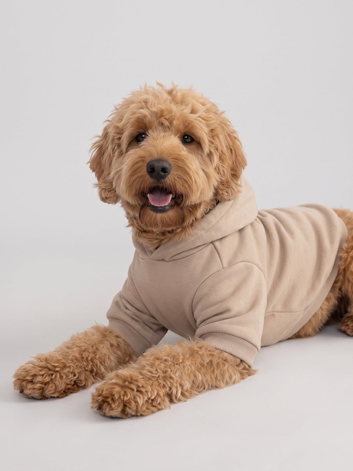Minimalist Paw Hoodie