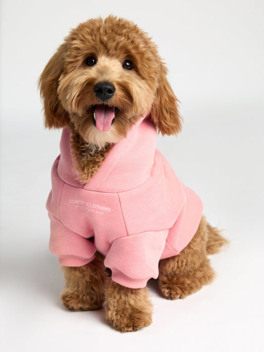 You Matter Paw Hoodie
