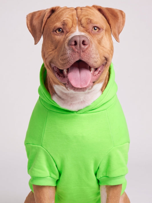 Neon Minimalist Paw Hoodie