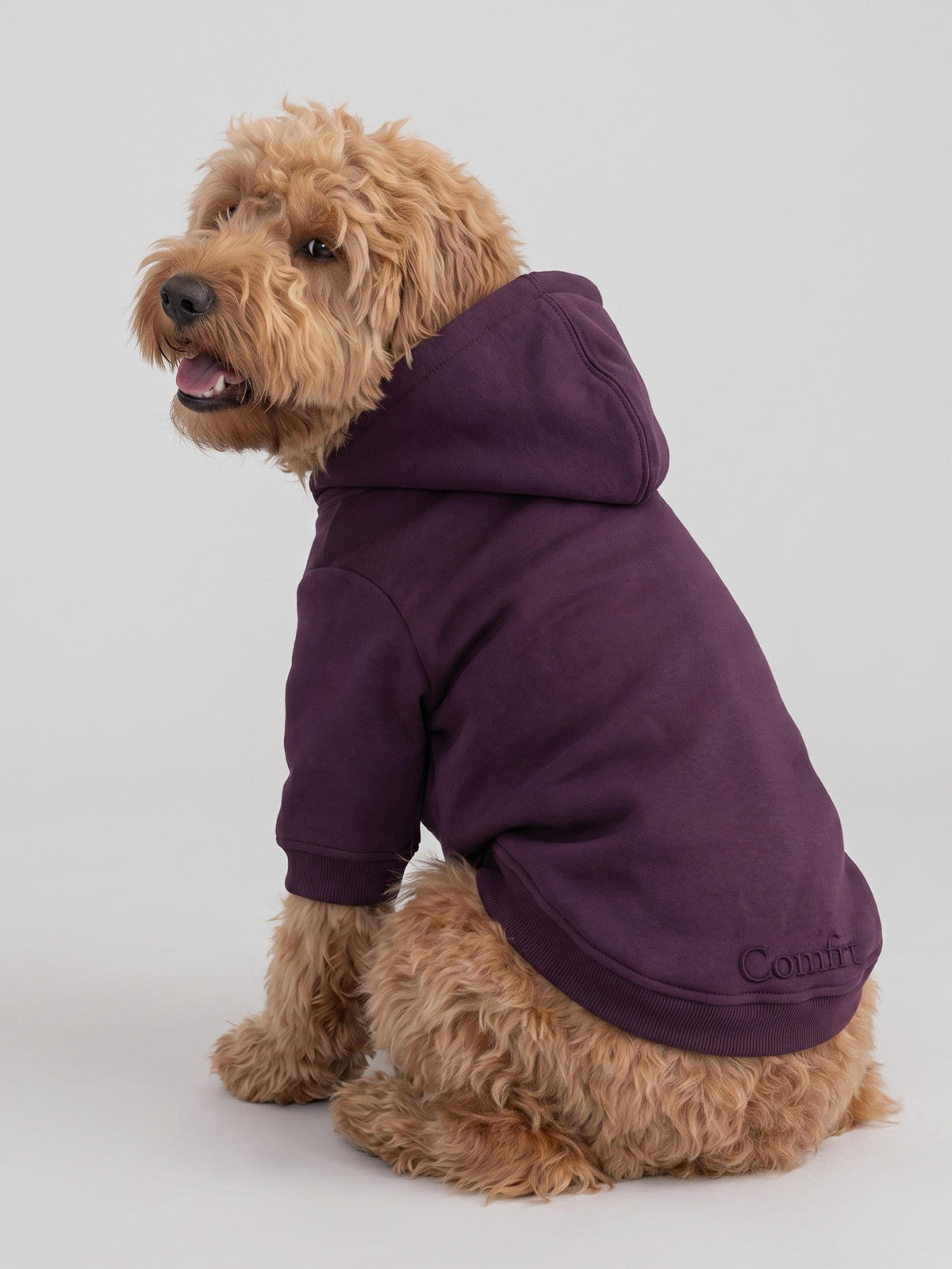Minimalist Paw Hoodie