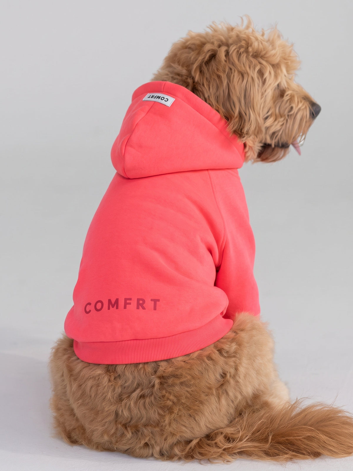 Neon Tranquil Paw Hoodie