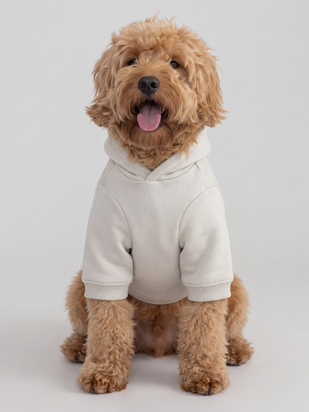 Minimalist Paw Hoodie
