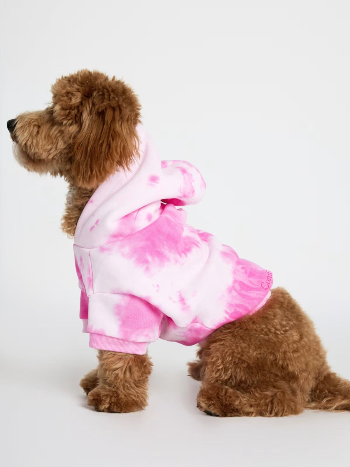 Minimalist Paw Hoodie