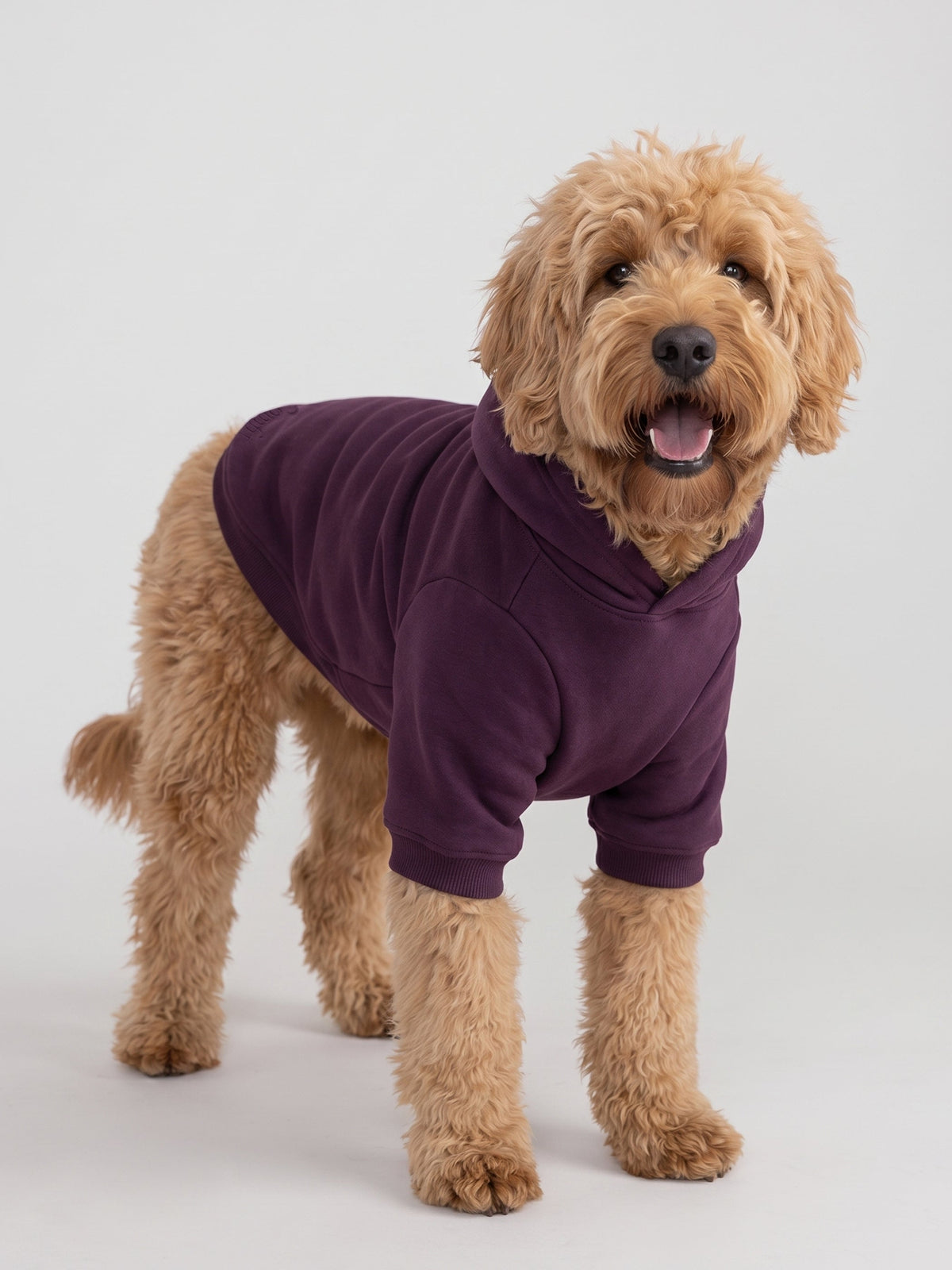 Minimalist Paw Hoodie