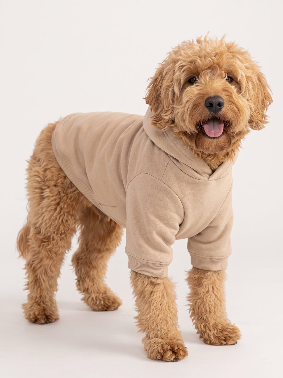 Minimalist Paw Hoodie