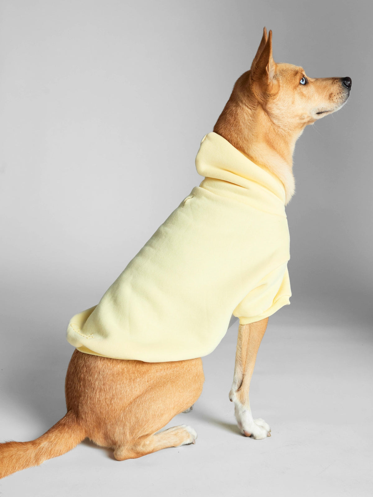 Minimalist Paw Hoodie