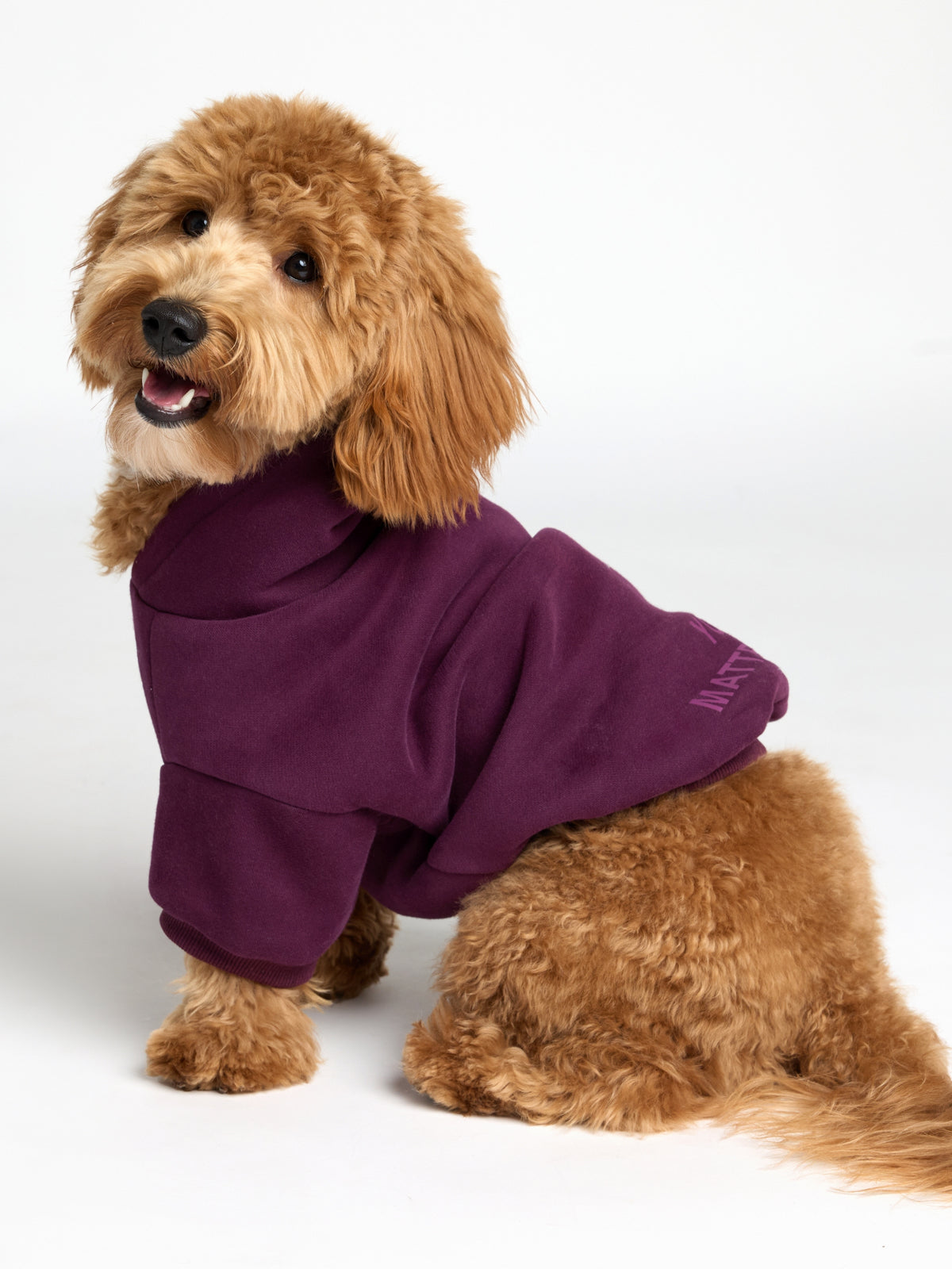 You Matter Paw Hoodie