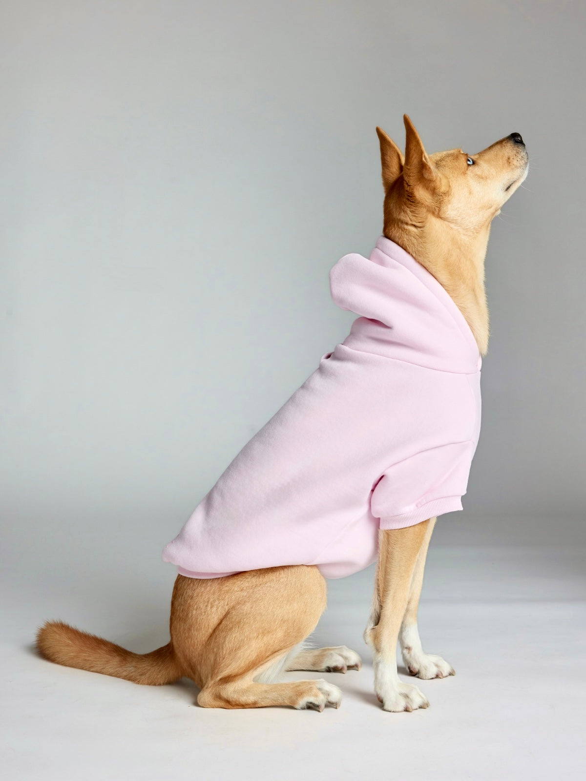 Minimalist Paw Hoodie