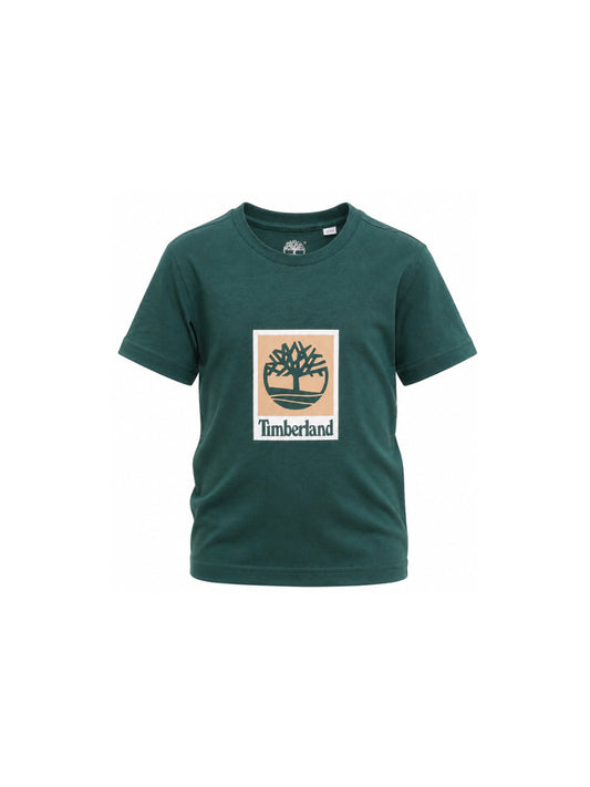 T-shirt verde con stampa logo Timberland a contrasto frontale